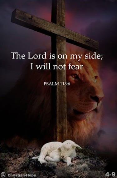 I Will Not Fear