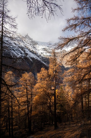 a mountain scene with a mountain in the background