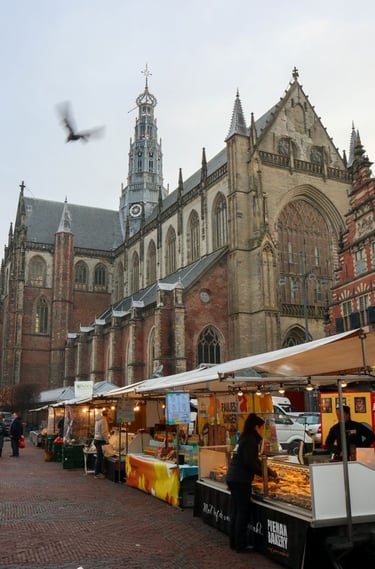 haarlem-cattedrale-de-grote-of-bavokerk