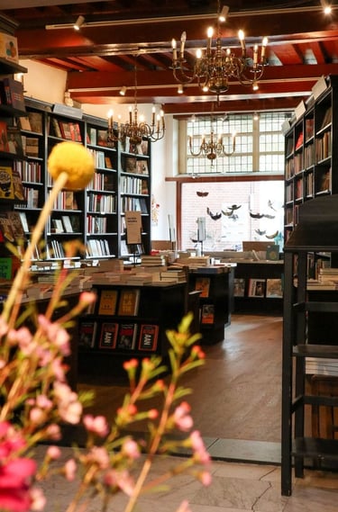 lib.-de-vries-books-haarlem-