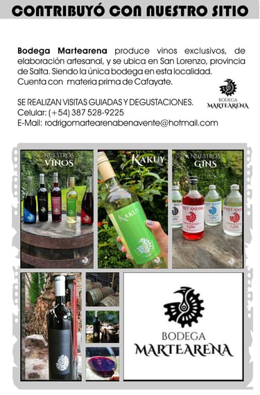 Imagen: Bodega Artesanal Martearena