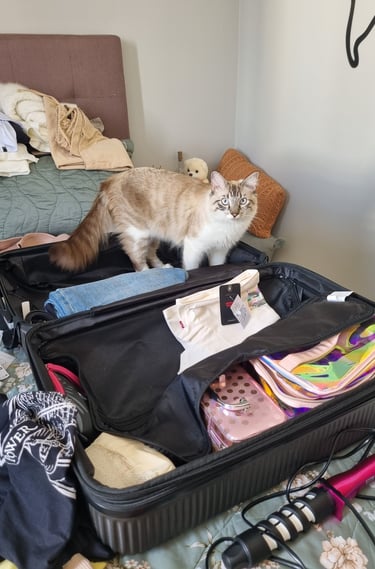 Foto da preparação da nossa viagem, com o nosso filho Bruce!