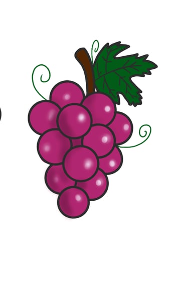 Dessin original de grains de raisins provenant de l'univers de Calnima autrice française indépendant