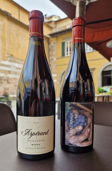 Aspirant e Vitagrama Casa Caterina Del Bono per carta vini