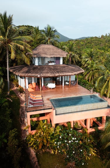 a house with a thatched roof and infinity pool