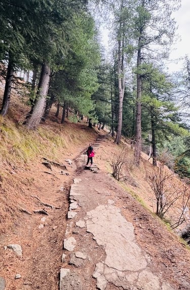 Somewhere On Hike - 2
