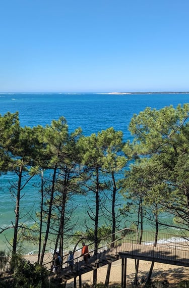 Atlantic ocean, beach, pine trees from La Corniche