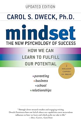 mindset book