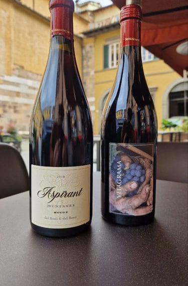 Aspirant e Vitagrama Casa Caterina Del Bono per carta vini