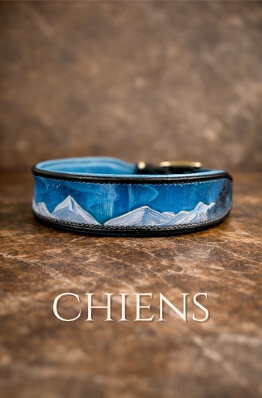 collier en cuir pour chien peint et repoussage aurores boréales collection pigments sellerie etter 