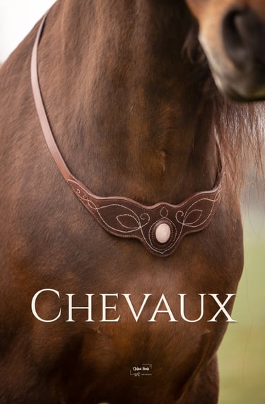 cordelette en cuir cheval sellerie etter geneve 