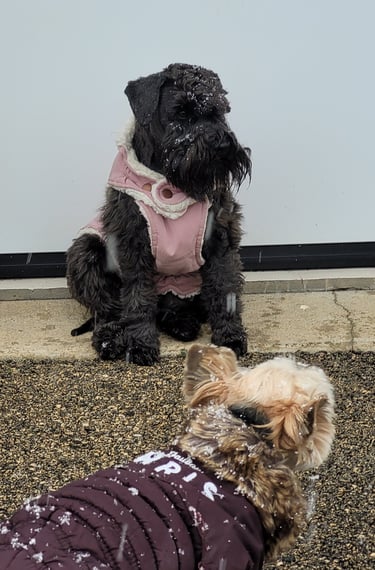 Tessie attend des bébés !