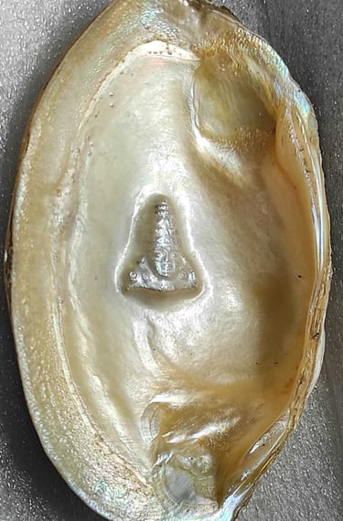 "11mm white designer pearl with divine facial carving–cultured using nucleus technique-Shipped worldwide"