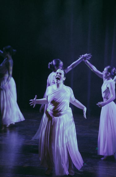 Fotografía de espectáculo de Baile en Barcelona