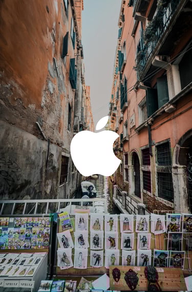 Canals of Venice with art in foreground