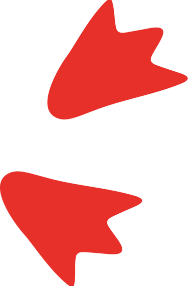 traces de pas de la sterne inca de la maison d'édition Big Moustache Games