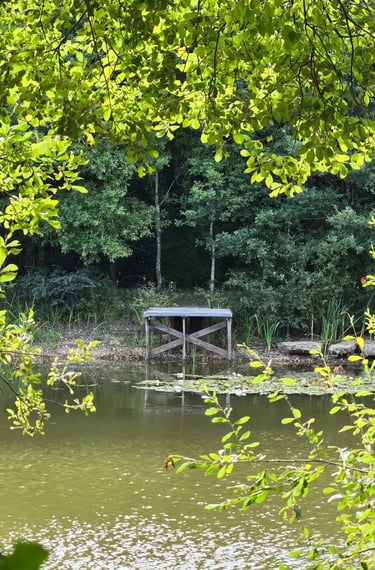 jardin parc ponton etang domaine du clody