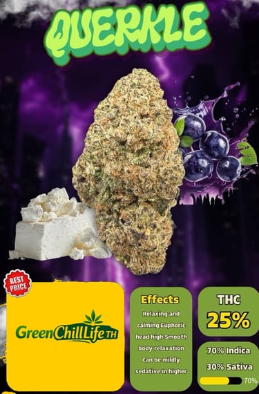 Hua Hin Dream cannabis flower with a balanced profile, available for adults aged 20+ within Thailand only.