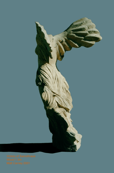 Macrocarpa pine reproduction of Samothrace