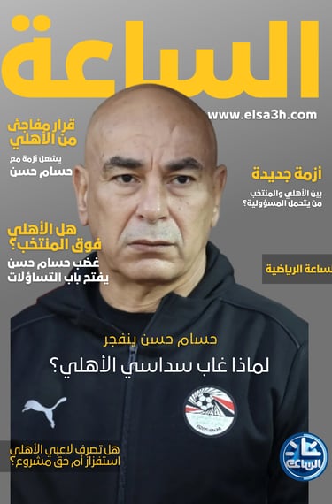 حسام حسن