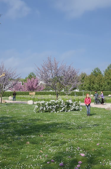 terrain constructible à Belbeuf proche Rouen