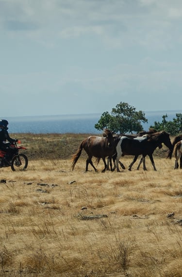 Sumba Dirt Bike Adventure