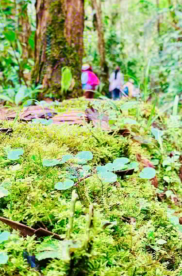 Naturaleza