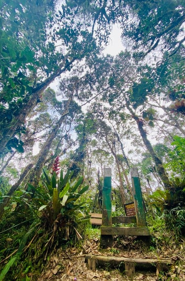 Naturaleza, reserva natural