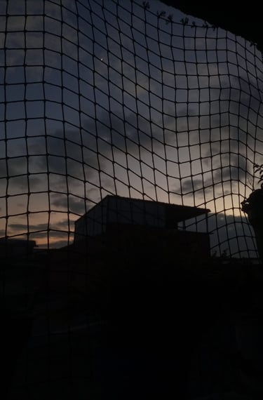 Malla en una ventana con plantas colgadas