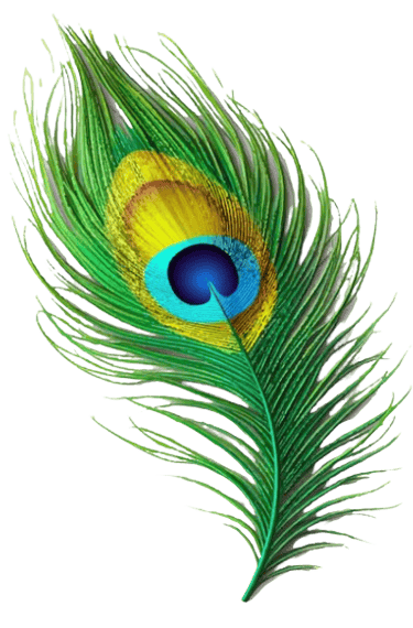 SEO Services Krishna