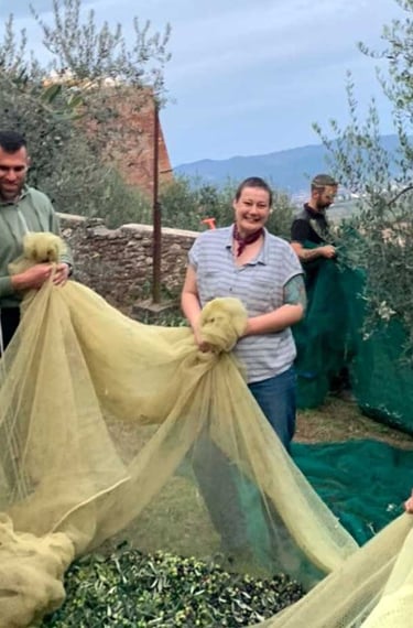 three smiling people hold olive picking net in olive grove