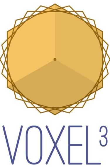 voxel³