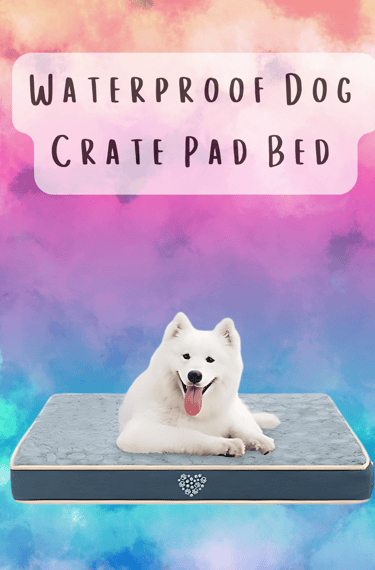 dog crate bed