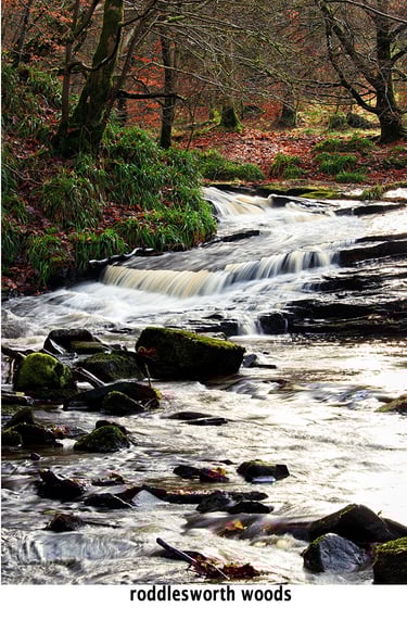 a stream running through a wooded area with rocks and trees at roddlesworth woods