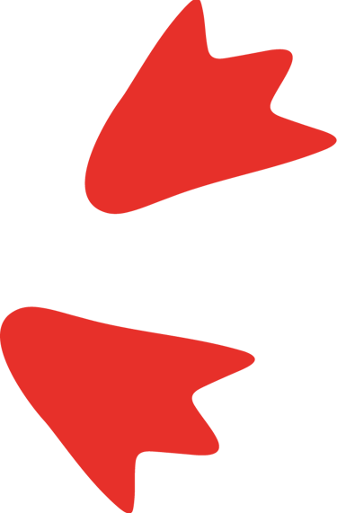 traces de pas de la sterne inca de la maison d'édition Big Moustache Games