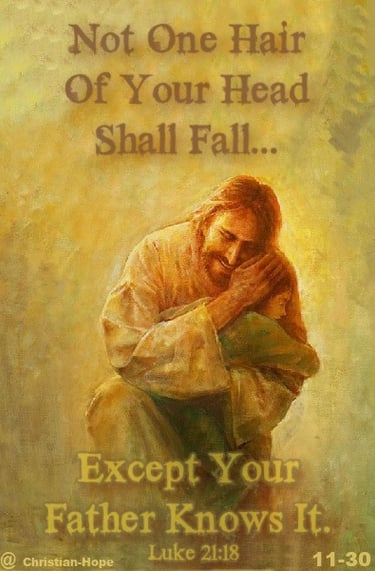 The Faith Of A Little Child