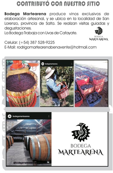 Imagen: Bodega Artesanal Martearena