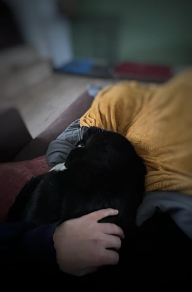 Cuddling a cat under a blanket — a moment from the crash and the path to personal healing