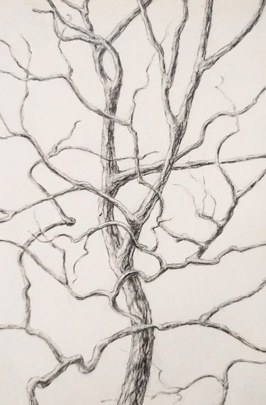 This is a small graphite drawing depicting a slender tree in winter.