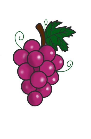 Dessin original de grains de raisins provenant de l'univers de Calnima autrice française indépendant