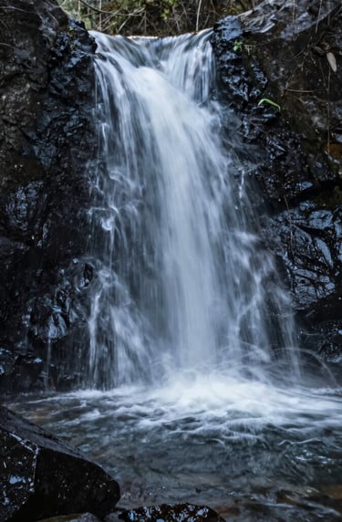 A vertical shot of a minimalist waterfall in a North American forest. The water is a soft motion blur against dark near black wet stones. Clean, calming aesthetic with muted organic tones.