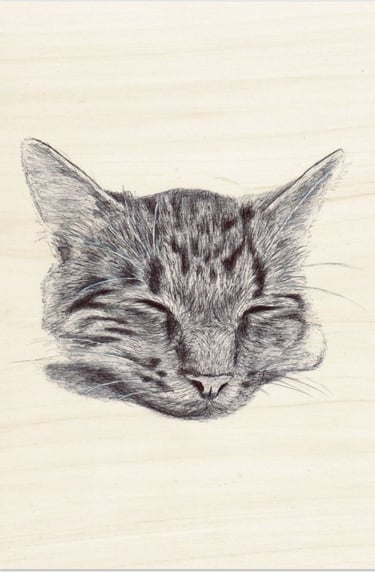portrait de chat au stylo BIC imprimé bois FSC