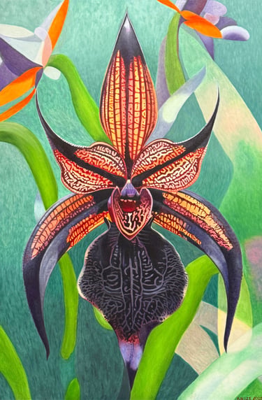 Christine Knize, Black Orchid, South Florida Contemporary Realism