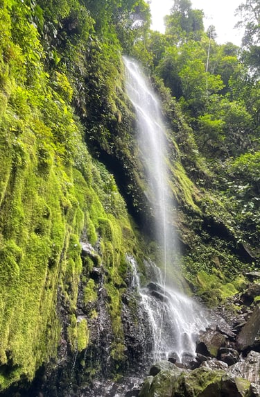 Rappelling, Waterfall, Costa Rica, Water Adventures Costa Rica