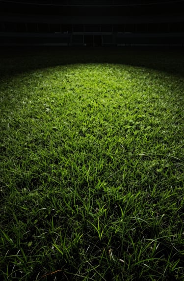 A detailed texture shot of the grass field under a single spotlight in an empty arena. High contrast between the deep charcoal shadows and the vibrant, lit blades of grass.