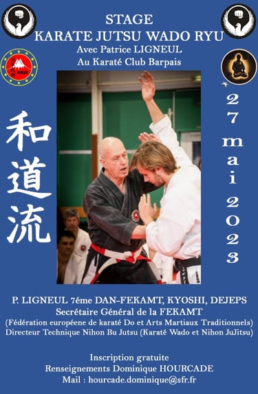 Stage de karaté Wado-Ryu animé par Patrice Ligneul