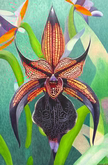 Black Orchid