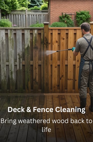 Deck fence cleaning by TN Profesiional Services