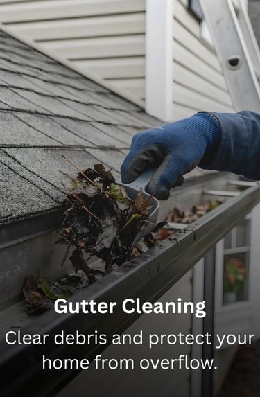Gutter cleaning by TN Profesiional Services
