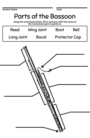 Parts of the Bassoon